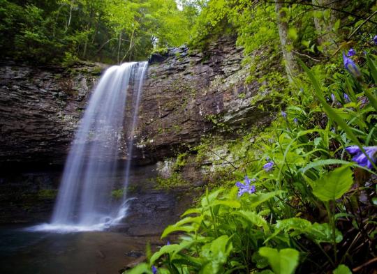 Waterfall at Cloudland Canyon